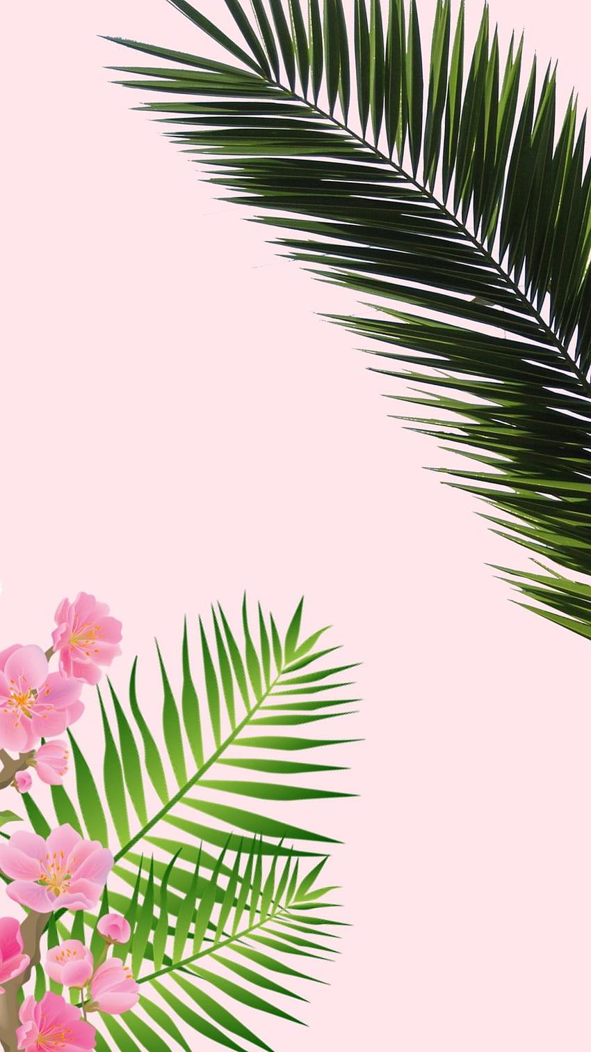 Download Neutral Aesthetic Desktop Tropical Leaves Wallpaper  Wallpapers com