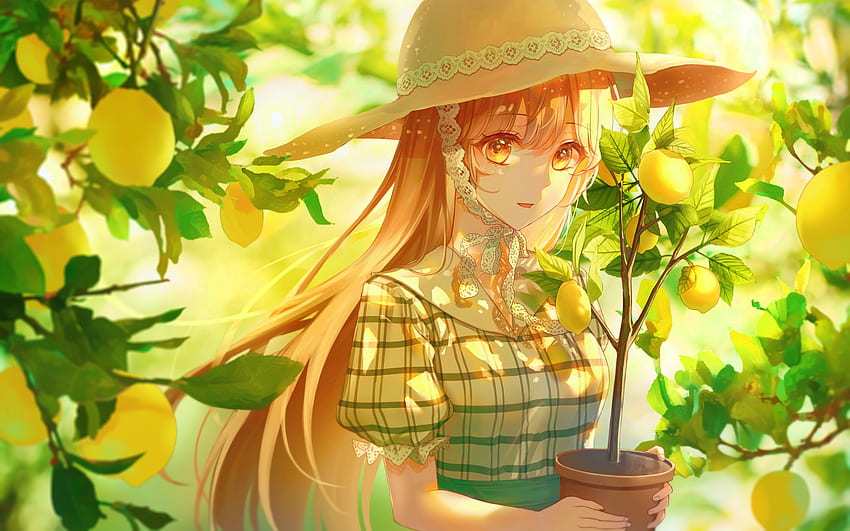 Strangely Common Anime Blog: Lemon Angel Project