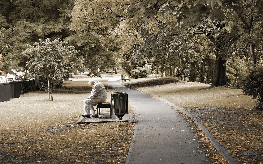 park, people, old, bench, sit HD wallpaper