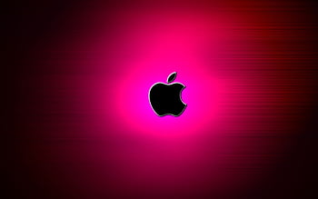 Pink Flush Apple Ultra HD Desktop Background Wallpaper for 4K UHD TV   Widescreen  UltraWide Desktop  Laptop