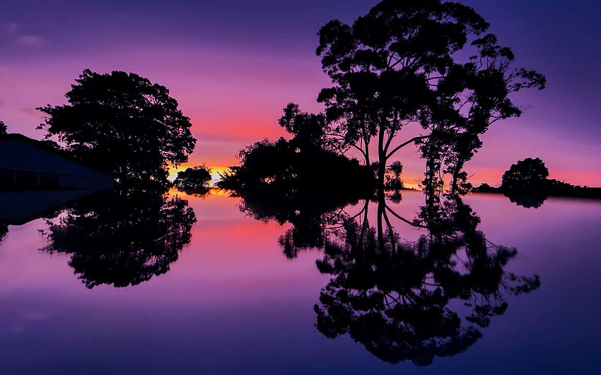 Sunset Near Auckland, New Zealand, water, reflections, lake, colors, trees, sky HD wallpaper