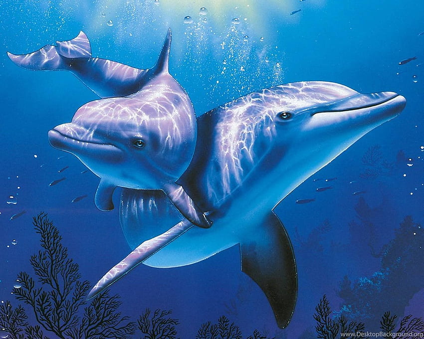 Fundo de desenhos animados de golfinhos 3D, padrão de golfinhos papel de parede HD
