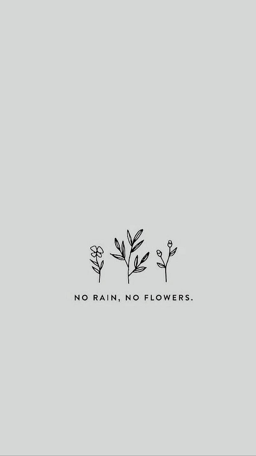 Kein Regen, keine Blumen HD-Handy-Hintergrundbild