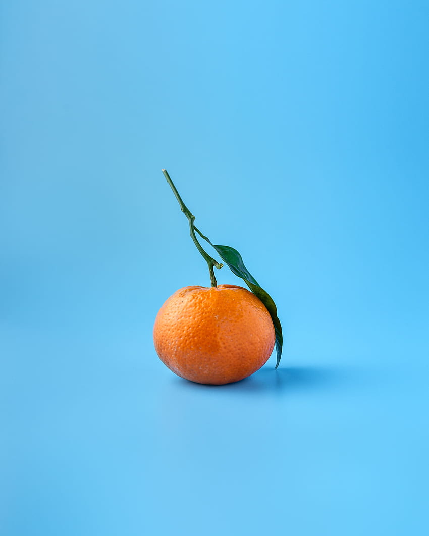 Minimalismus, Obst, Zitrus, Mandarine, Mandarine HD-Handy-Hintergrundbild