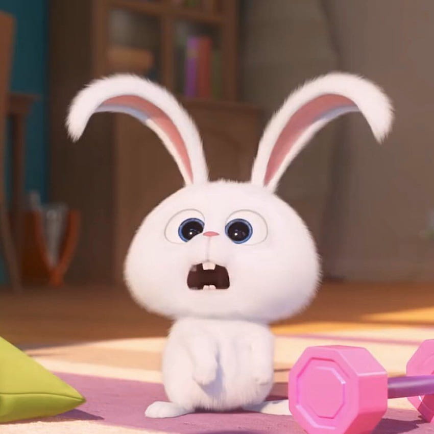 Snowball, Cute Cartoon Rabbit HD phone wallpaper | Pxfuel