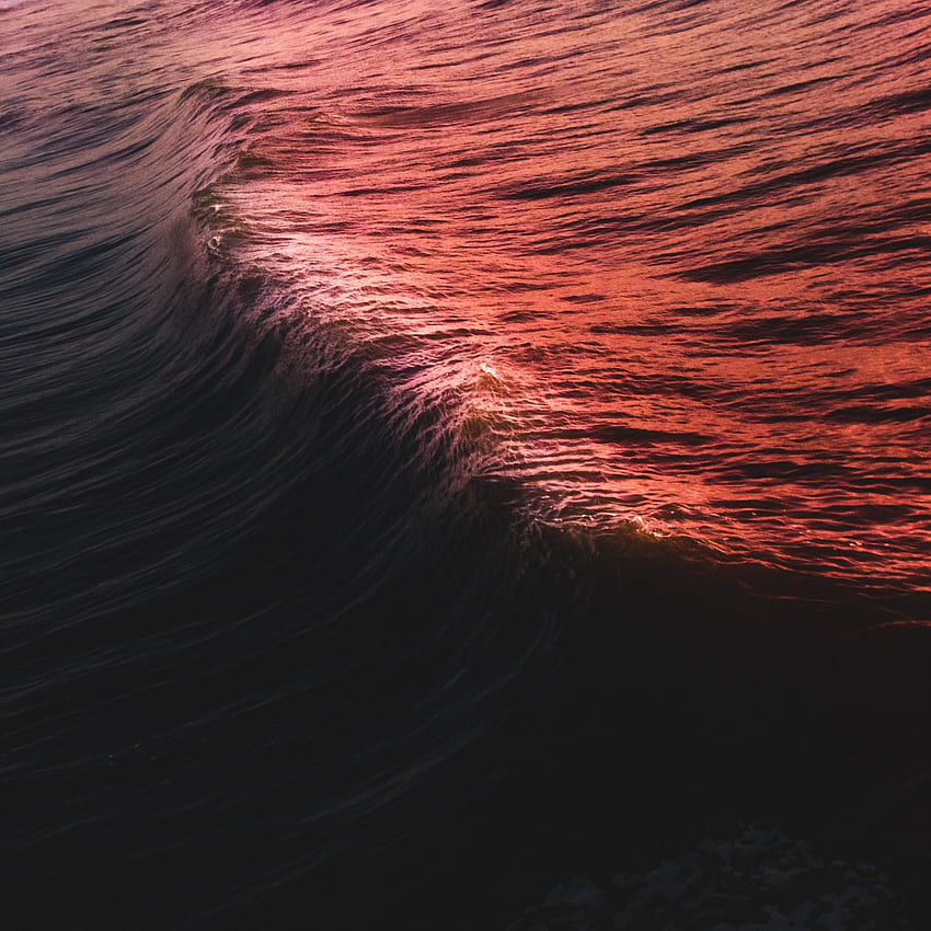 Shine of sunset, surface, sea water HD phone wallpaper | Pxfuel