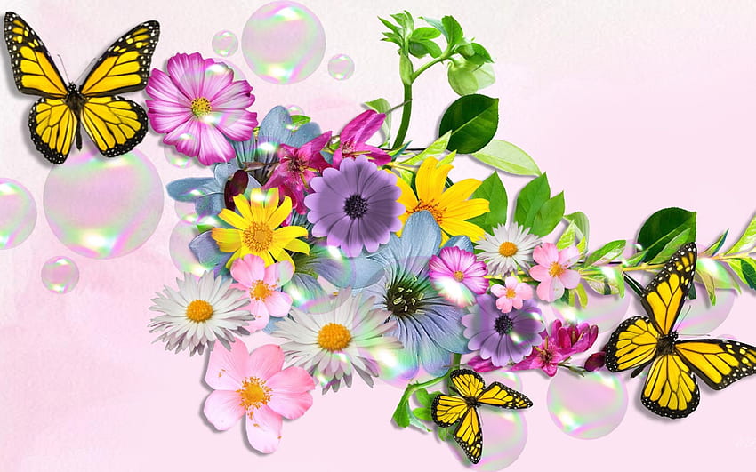 Flowers and Butterflies Full, Colorful Butterfly HD wallpaper | Pxfuel