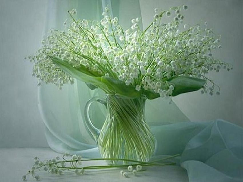Small but beautiful - still life, delicate, white, green leaves, vase, chiffon, flowers HD wallpaper