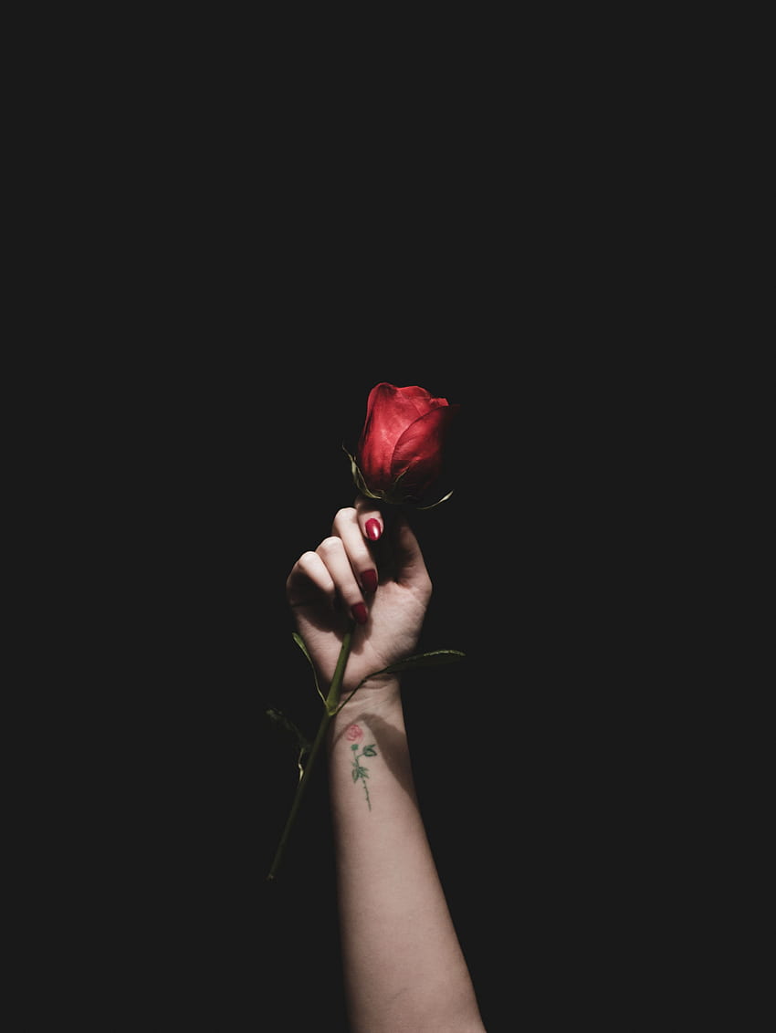 Kwiaty, Ręka, Kwiat Róży, Róża, Tatuaż Tapeta na telefon HD