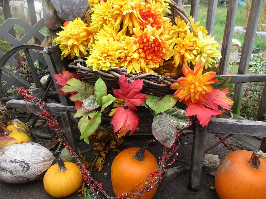 Fiori autunnali e zucche, zucche, carriola, autunno, bacche, fiori Sfondo HD