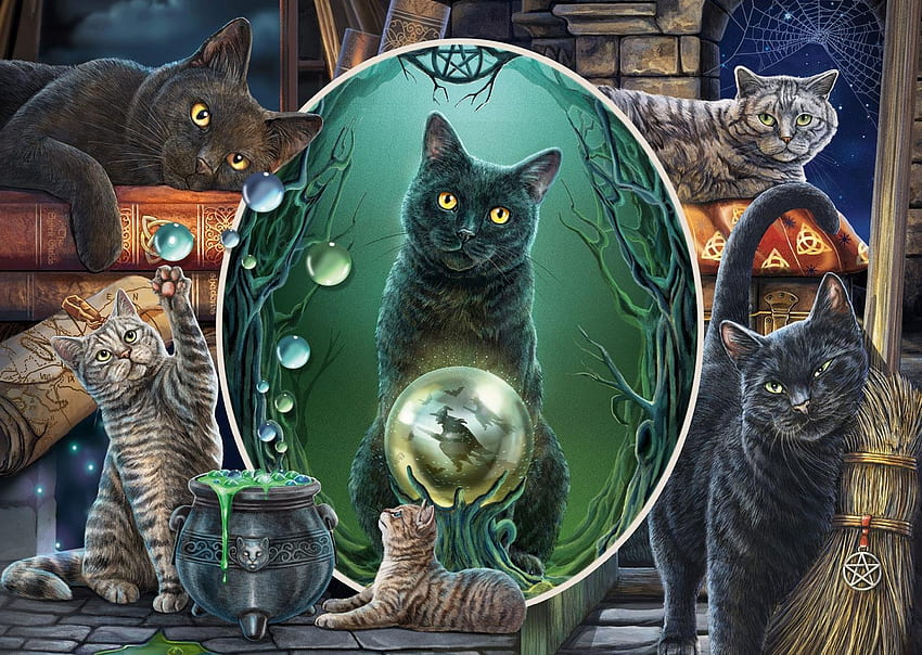 Gatos, pisici, bruja, halloween, negro, fantasia, gato, sombrero fondo de pantalla