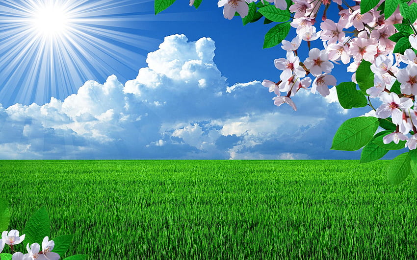 Трева и небесен фон - Изгрев природа - HD тапет