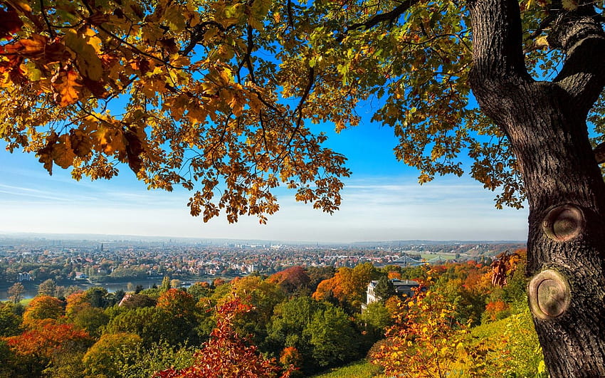 Herbst in Dresden Deutschland HD-Hintergrundbild