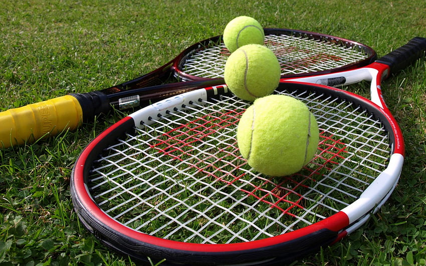 Logo du tennis sur gazon, balle de tennis Fond d'écran HD