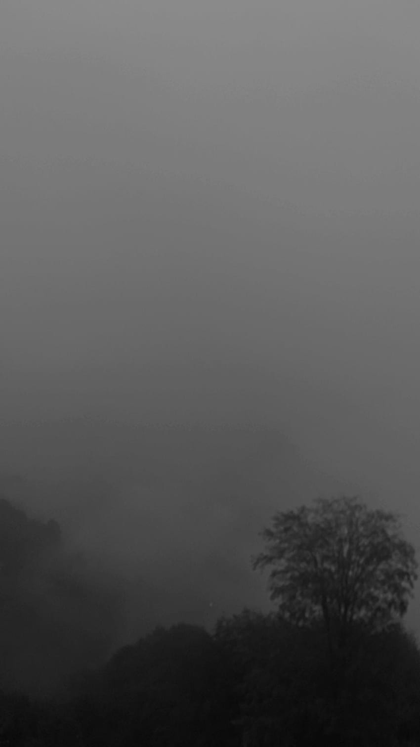 Doğa, Gökyüzü, duman, atmosfer, ağaç HD 전화 배경 화면