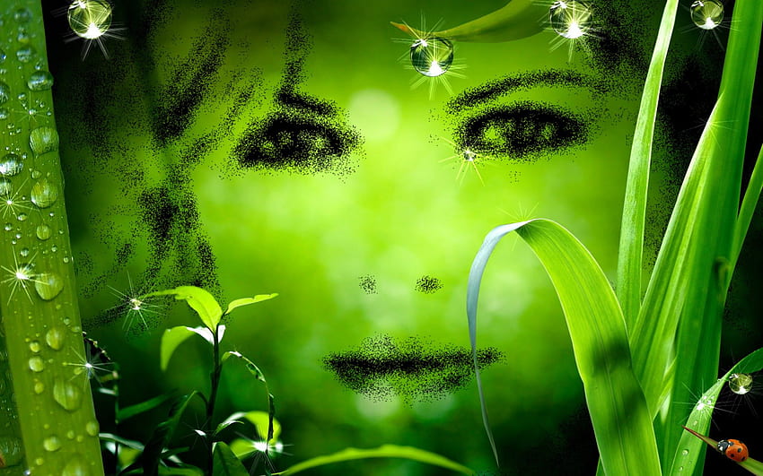 Green Elf, resumo, plantas, fantasia, verde, natureza, elf papel de parede HD