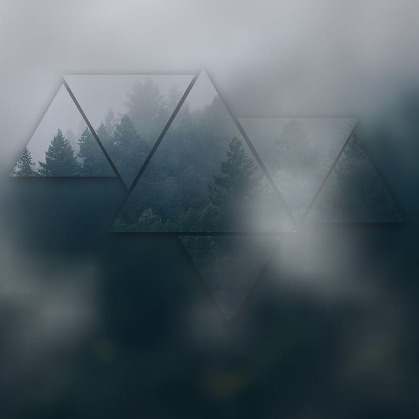 Мъглива гора, Триъгълна гора HD тапет за телефон
