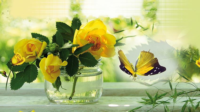 Adore the Yellow Roses, roses, papillon, vase, gold, summer, butterfly, bright, yellow, flowers, fleurs HD wallpaper