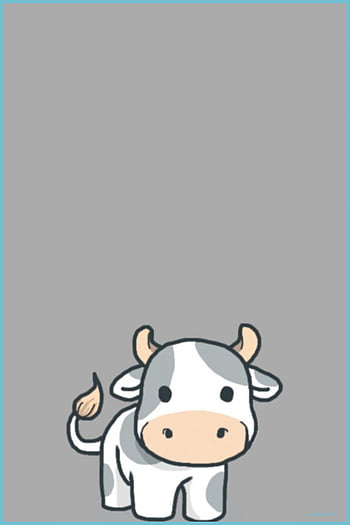 Cow iphone HD wallpapers
