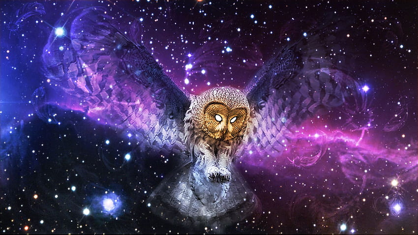 Cosmic, Galaxy Owl HD wallpaper
