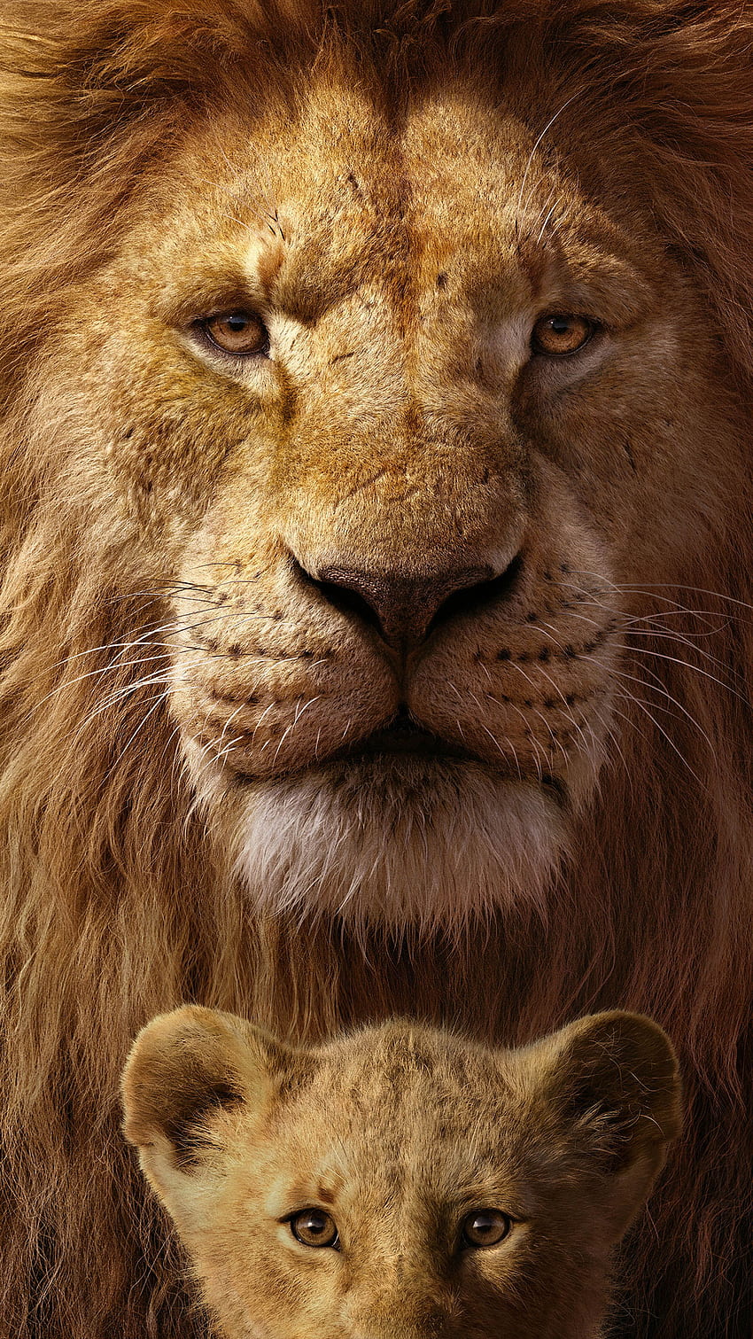 Mufasa & Simba Di The Lion King Ultra Mobile, Cute The Lion King wallpaper ponsel HD