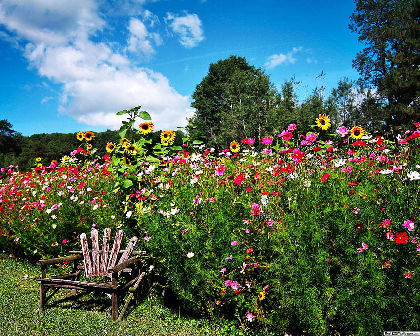 Цветя в английска пролетна градина, English Cottage Garden HD тапет