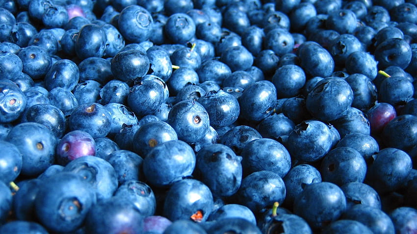 Food, Bilberries, Berry, Lot HD wallpaper