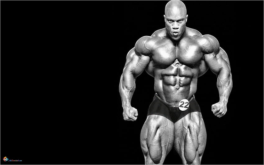 Bodybuilding Einzigartiges Bodybuilding - Phil Heath 2020 Mr. Olympia - - HD-Hintergrundbild