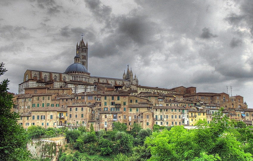 casa, colina, Italia, Toscana, Catedral, el campanario, Siena para , sección город fondo de pantalla