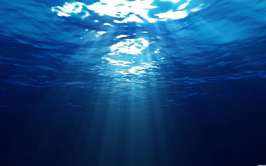 Under Ocean für 1680, Tiefsee HD-Hintergrundbild