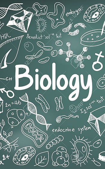 Biology HD wallpapers | Pxfuel
