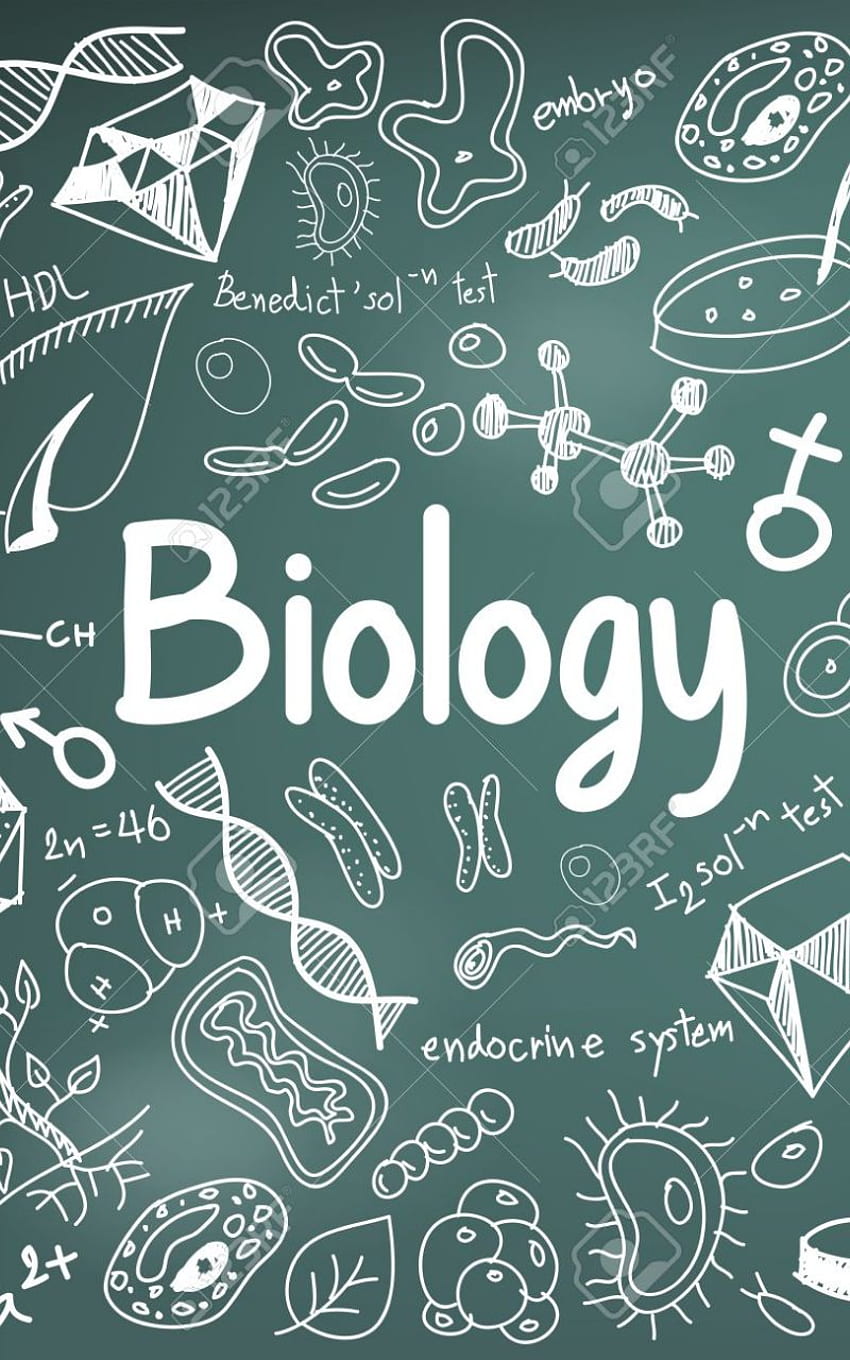 Biologia Ciência Teoria Doodle caligrafia e ícone de modelo de ferramenta [] para o seu, Mobile & Tablet. Explorar a biologia de fundo. Biologia, Formação Biologia, Formação Biologia Papel de parede de celular HD