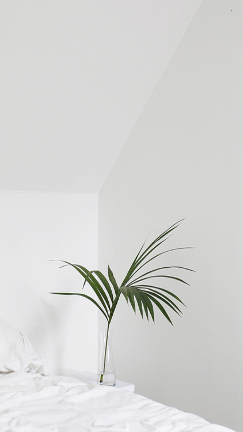 Aesthetic Cute Simple, White Aesthetic HD phone wallpaper | Pxfuel