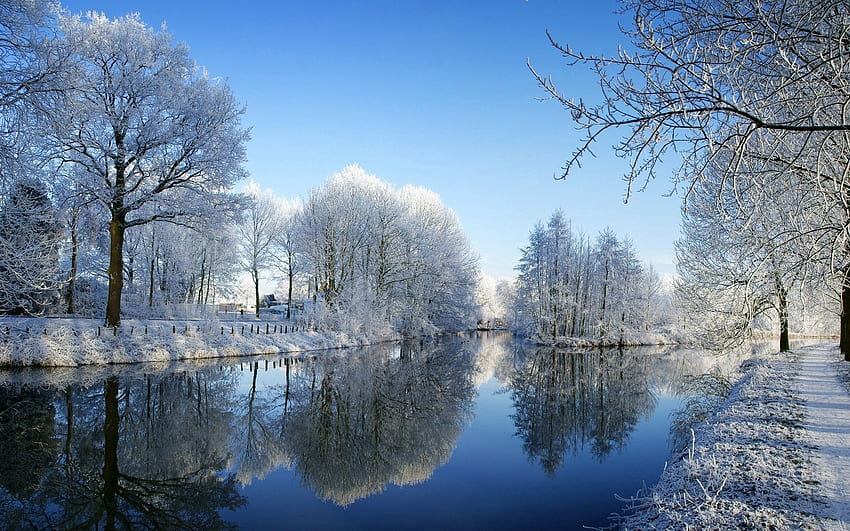 Winter, Nature, Rivers, Trees, Reflection, Park, Hoarfrost, Frost HD wallpaper