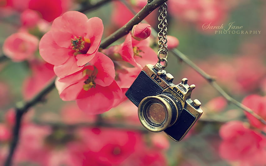 Girl with camera Wallpapers Download | MobCup