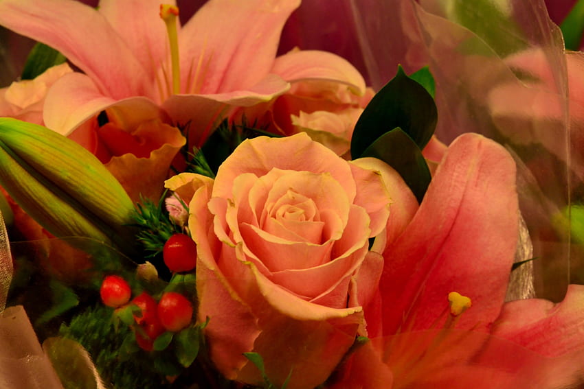 Bellissime rose, rose, splendide rose, bouquet di rose, graziose rose Sfondo HD