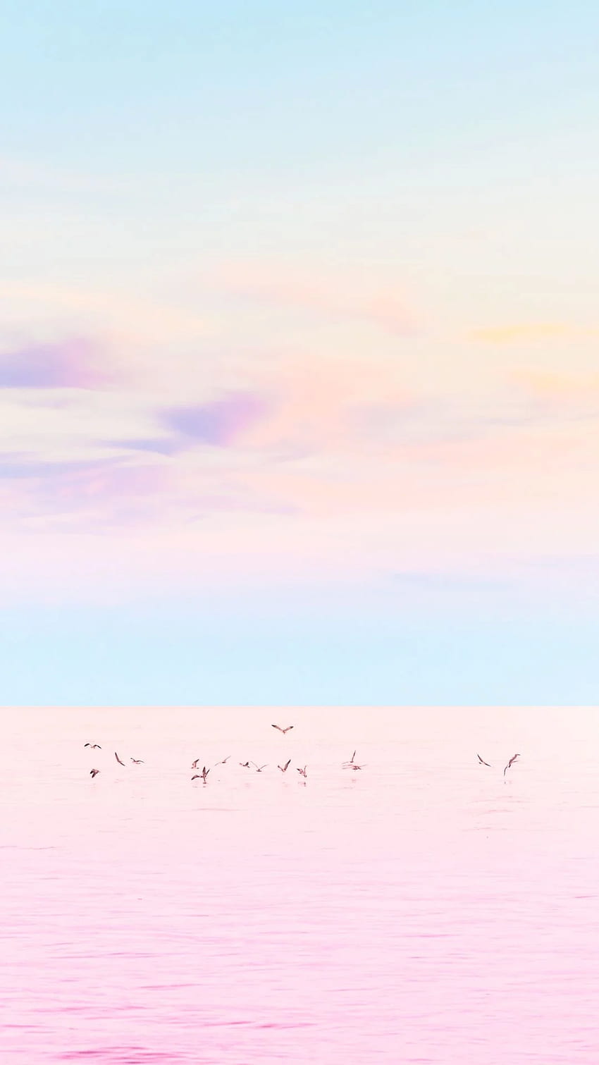 Birds At Sea Pastel Pink IPhone 6 Plus IPhone 6 6S 7, Pastel iPod HD電話の壁紙