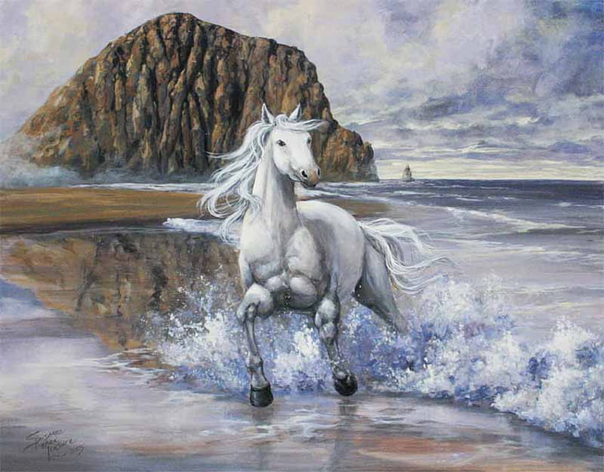 beyaz at, atlar, atlar, atları severim HD duvar kağıdı