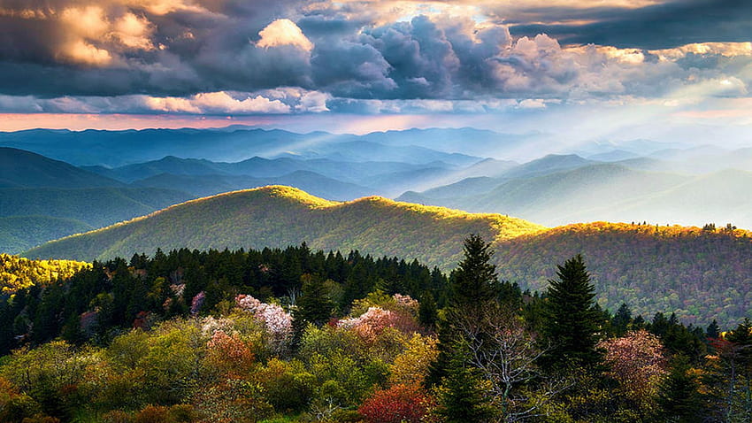 Taman Nasional Pegunungan Great Smoky - The Ridge, Tennessee, awan, pohon, langit, hutan, matahari terbit, usa Wallpaper HD