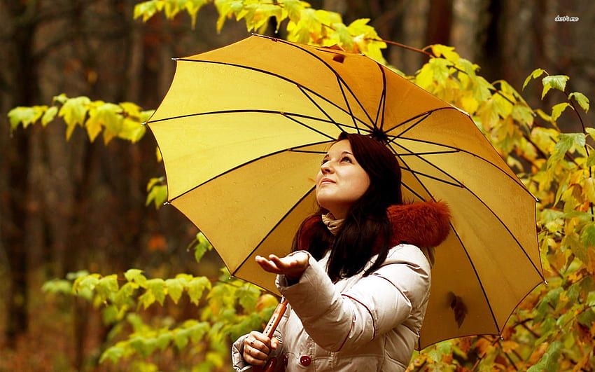 Women with Umbrella Under Rain . Girl with a yellow umbrella, Spring Rain Umbrella HD wallpaper