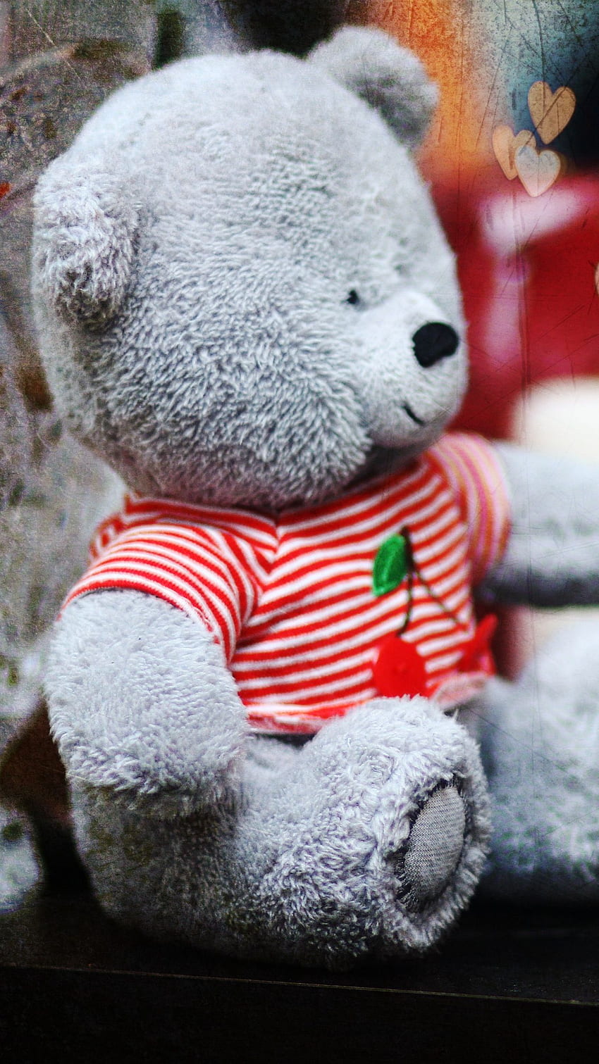 Hugging Girl Teddy Bear, Teddy Bear Face HD wallpaper