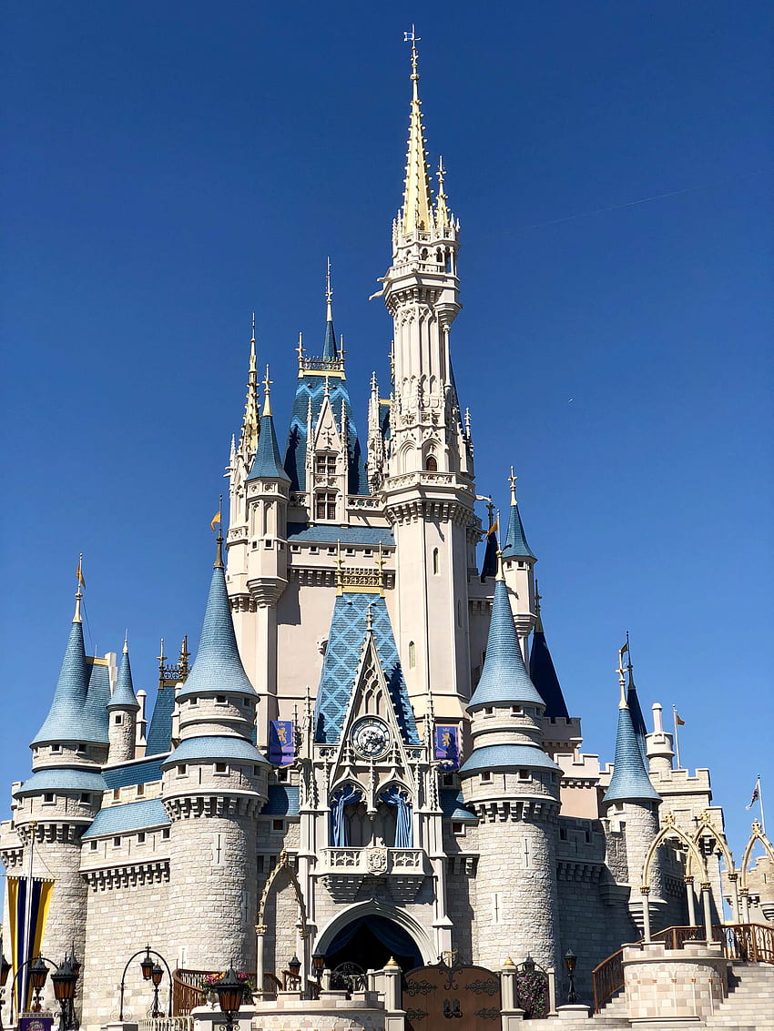 Castelo da Cinderela - Walt Disney World : iphone Papel de parede de celular HD