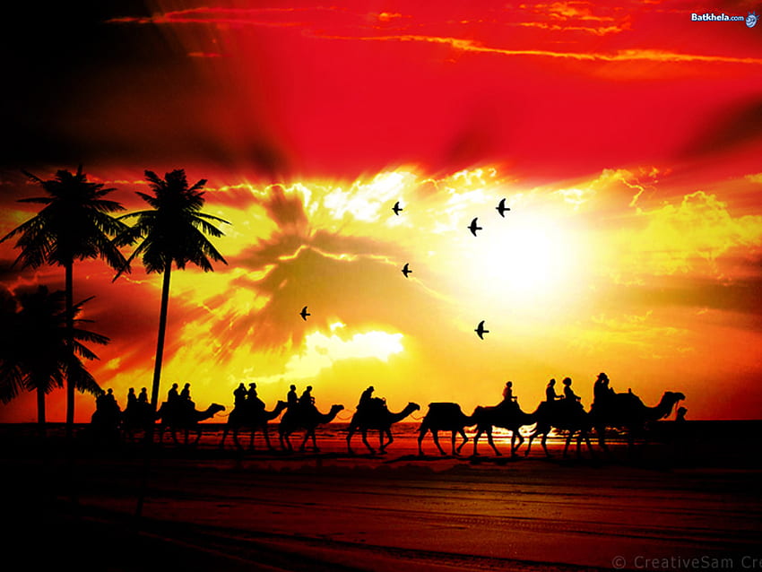 A CARAVAN OF CAMELS CROSSING THE DESERT, gorgeous, view, beautiful, sunset HD wallpaper