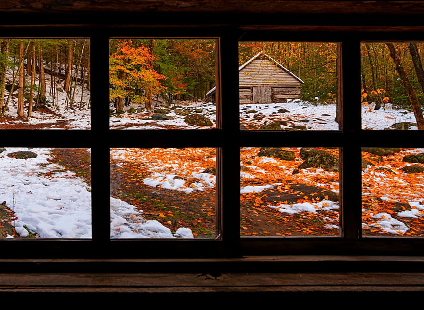 Erster Schnee, Winter, Blätter, Fenster, Herbstpracht, Herbst, Herbst, Natur HD-Hintergrundbild