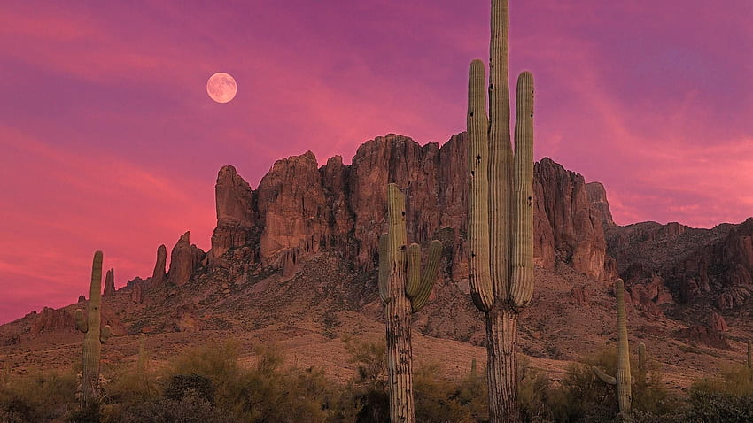 Luly on A Midsummer Night's Dream 2.0. Desert sunset, Arizona sunset, Sunset, Arizona Monsoon HD wallpaper
