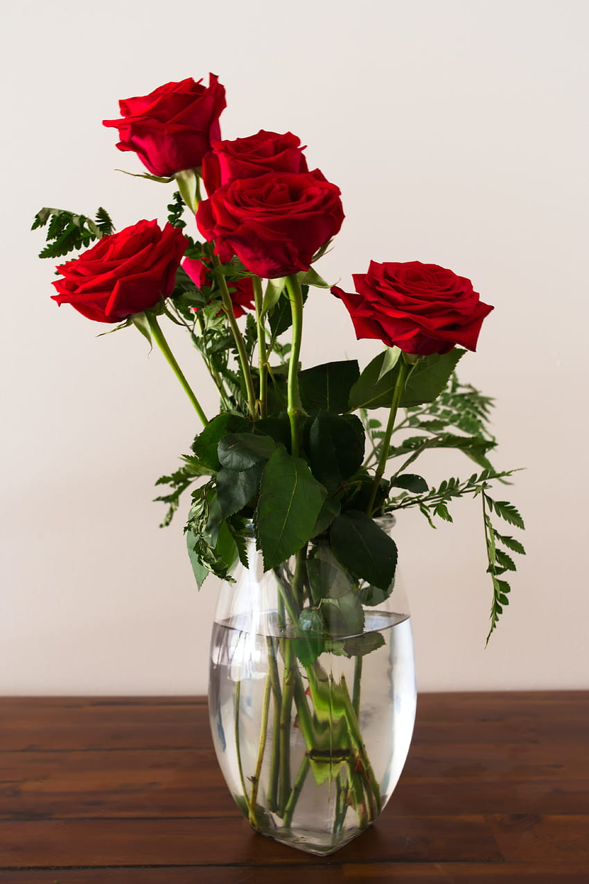 Of Roses On Flower Vase · Stock HD phone wallpaper | Pxfuel