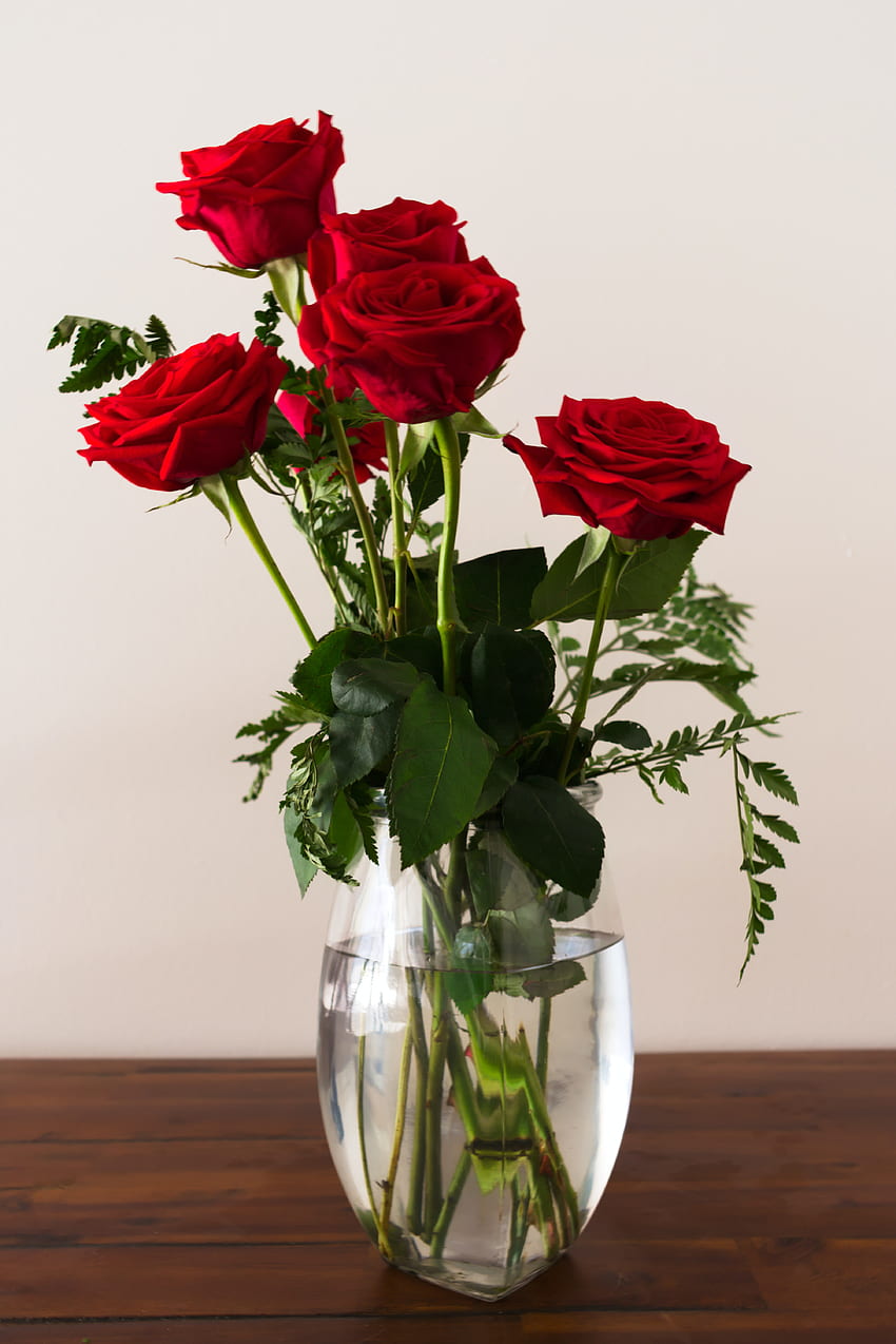 of Roses On Flower Vase · Stock HD phone wallpaper