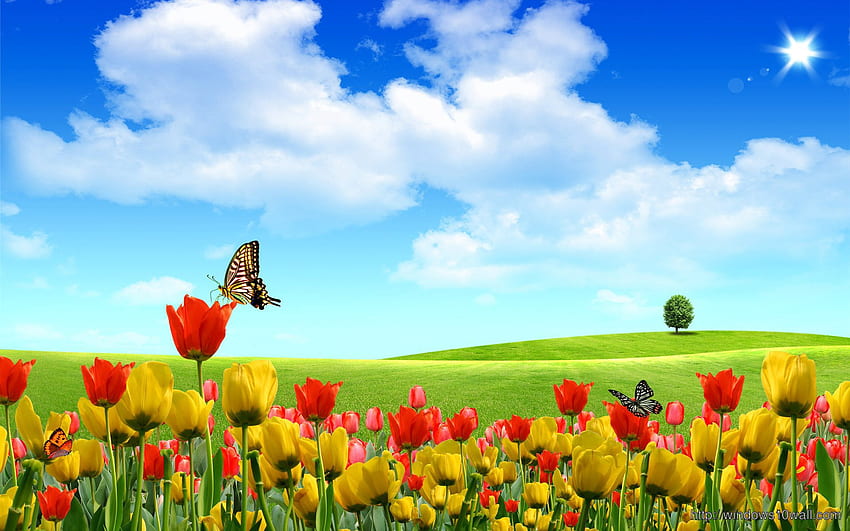 Cenas da natureza com citações de flores - windows 10 papel de parede HD