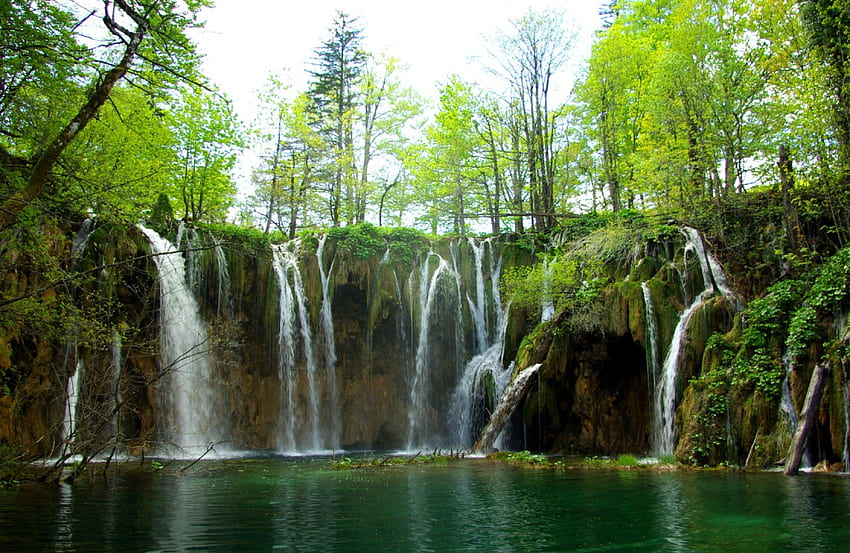 Plitvice lakes, lakes, Plitvice, waterfall, spring, Croatia HD wallpaper