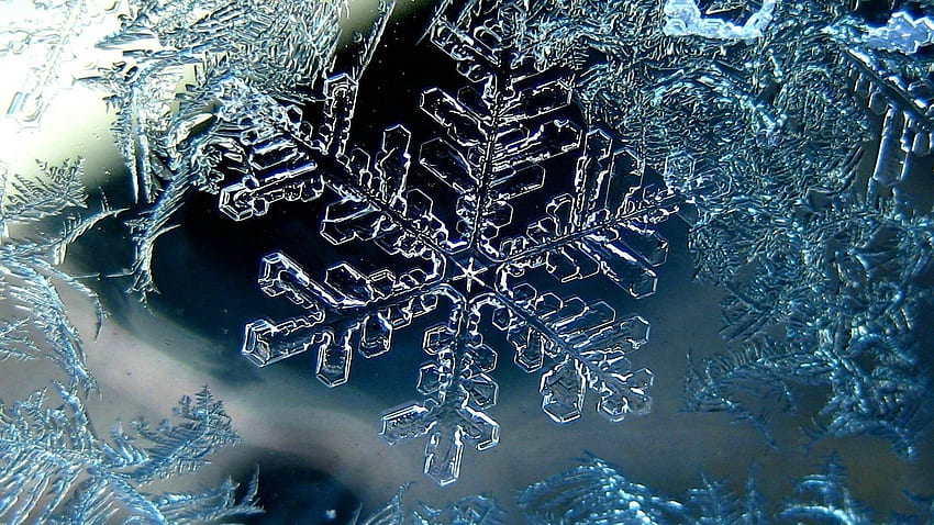 Of Snowflake Ice Structure Micro Winter High Definition HD wallpaper